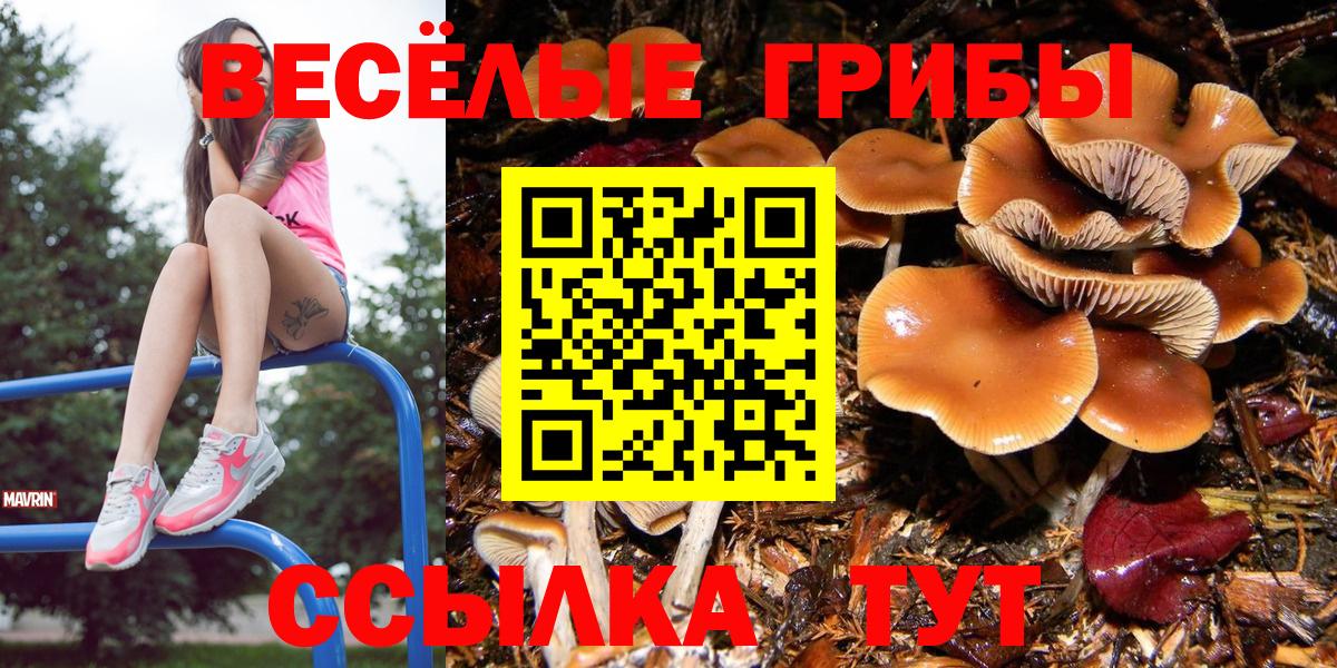 Галлюциногенные грибы Magic Shrooms Черкесск