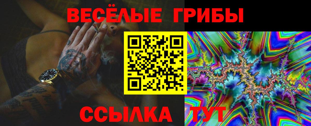 Черкесск  дарнет шоп  Вход с VPN  Галлюциногенные грибы MAGIC MUSHROOMS 